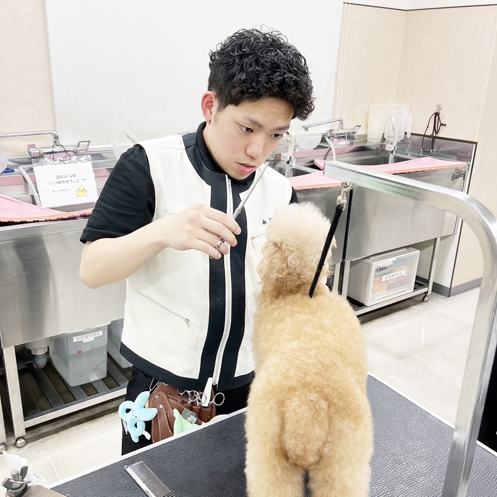 新２年生のトリミング実習！